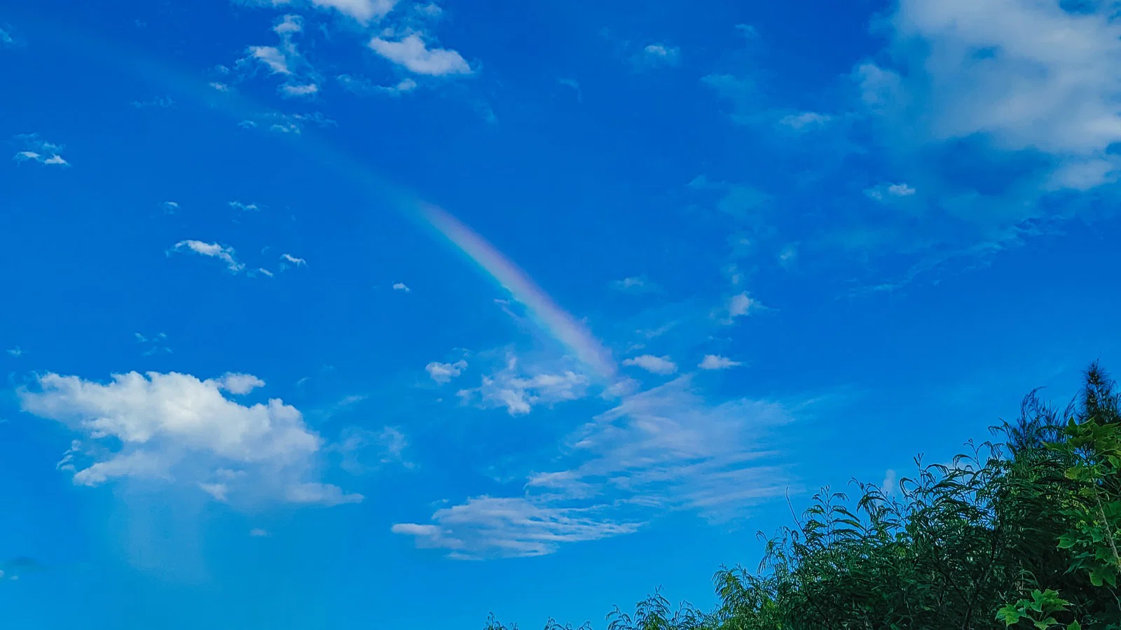 まつばら脳神経クリニック
