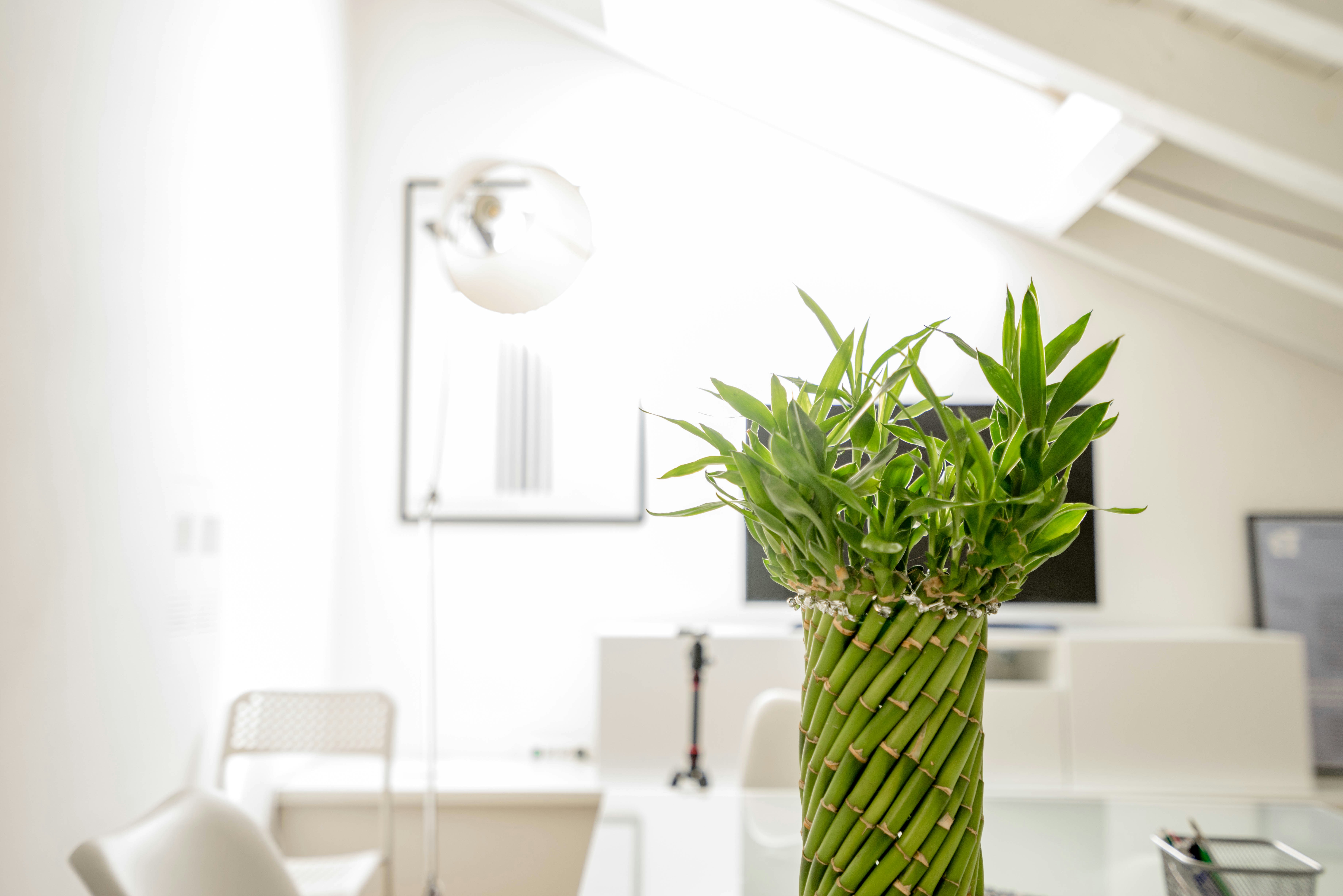 医療法人 小林耳鼻咽喉科