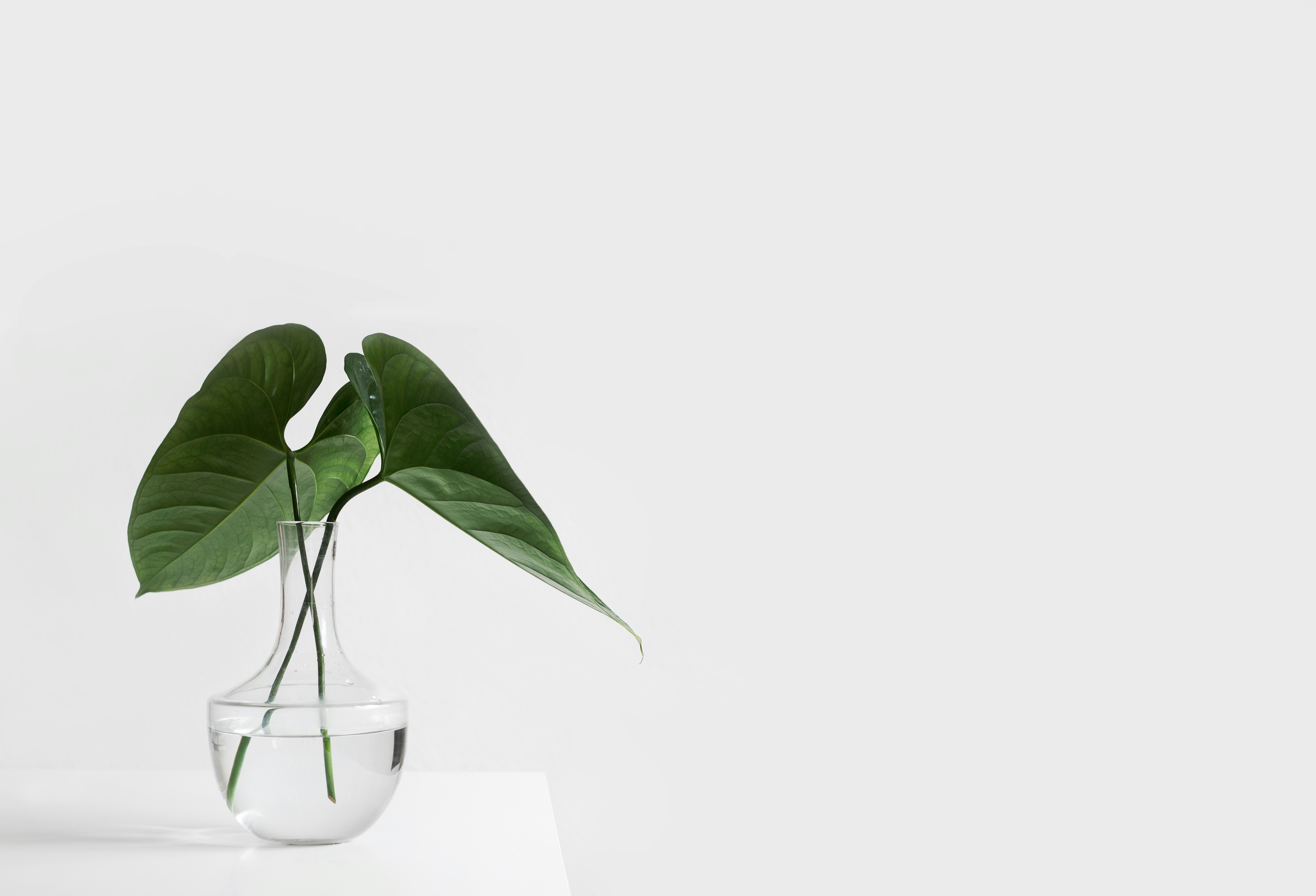 医療法人社団 ひらおか内科 循環器・糖尿病クリニック